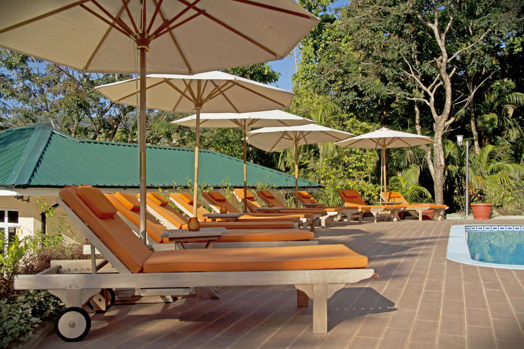 Apartmán The Palm Seychelles Bel Ombre Exteriér fotografie